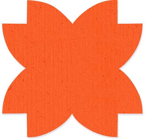 orange flower
